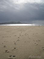 real estate, real estate broker, CAR, MCAR, monterey bay real estate, photography, web design, art, buy a home, sell a home